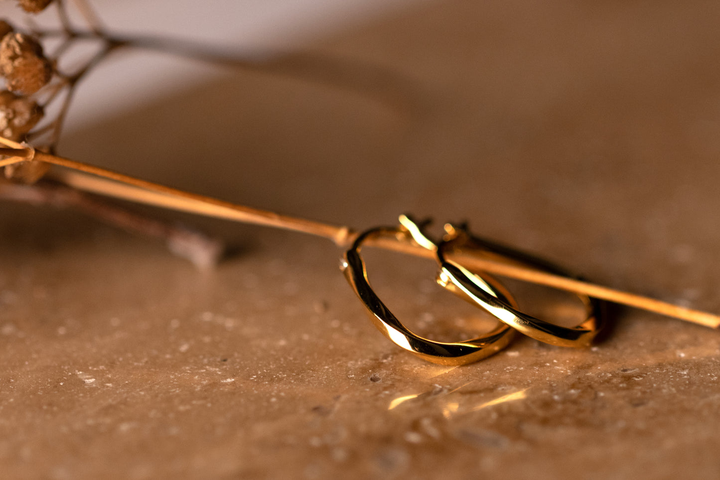 Classy Earring